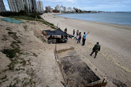 El sitio fue descubierto por una fuerte tormenta que llevó las olas del mar hasta bien entrada la playa. / Miguel Rojo – AFP