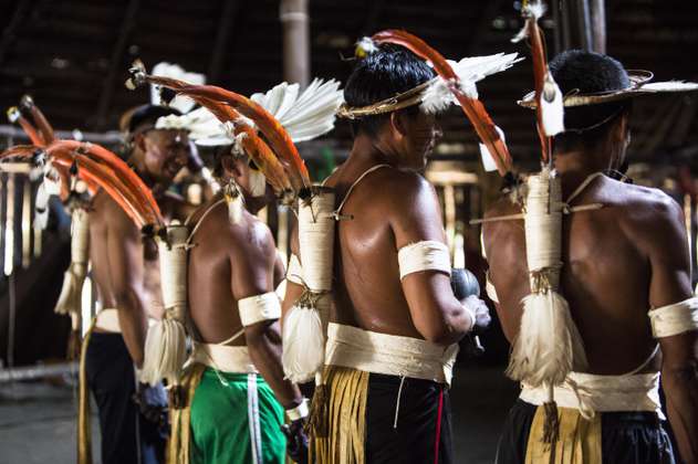 La Corte Constitucional invitó a los indígenas de la Amazonía a un diálogo intercultural contra la minería ilegal