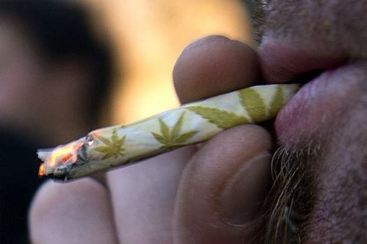 Seis de cada diez uruguayos se oponen a la regulación de marihuana, según encuesta