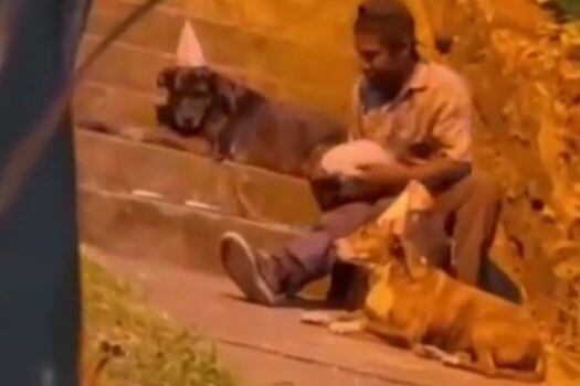 El video de un hombre que compartía una torta con sus perros fue viral en redes sociales