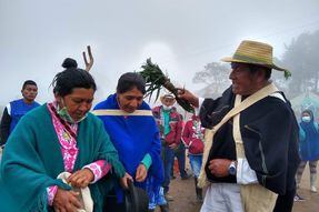 Asesinaron a un líder y mayor de comunidad indígena del Cauca