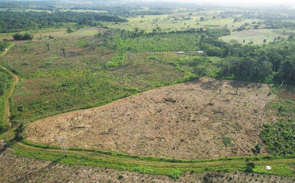 Entre 2018 y 2022 el 14 % de la deforestación de la Amazonia se concentró en los parques Tinigua, La Macarena, Picachos, Chiribiquete, La Paya y la Reserva Nukak. / Iván Muñoz