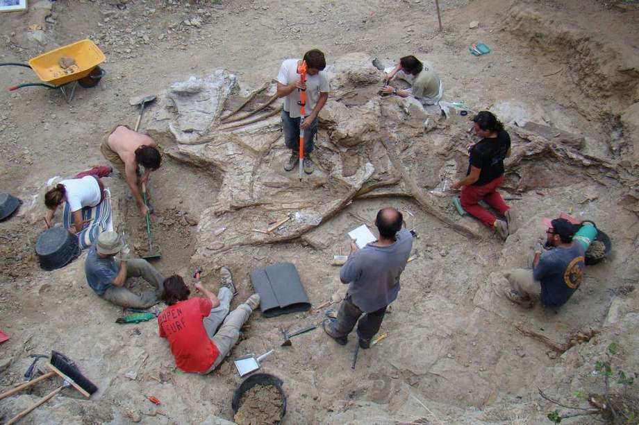 Los restos fueron encontrados entre 2005 y 2008.
