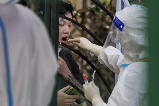 Shanghai (China), 11/06/2022.- Los CDC de Estados Unidos recomiendan que si usted está enfermo de covid-19, evite el contacto con sus mascotas y otros animales, tal como lo haría con las personas. EFE/EPA/ALEX PLAVEVSKI
