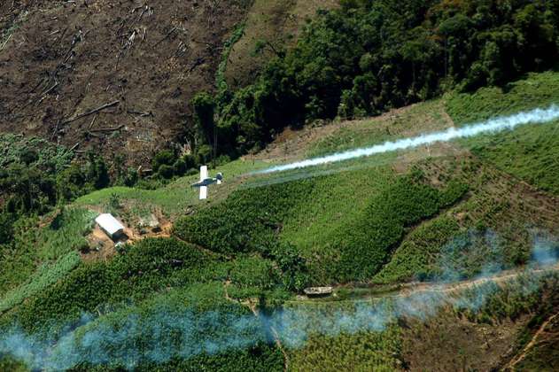Estados Unidos registró aumento de cultivos de coca en Colombia