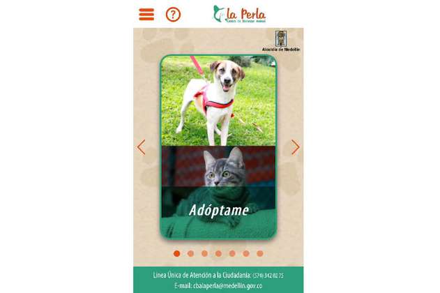 En Medellín estrenan una aplicación para adoptar animales del refugio La Perla