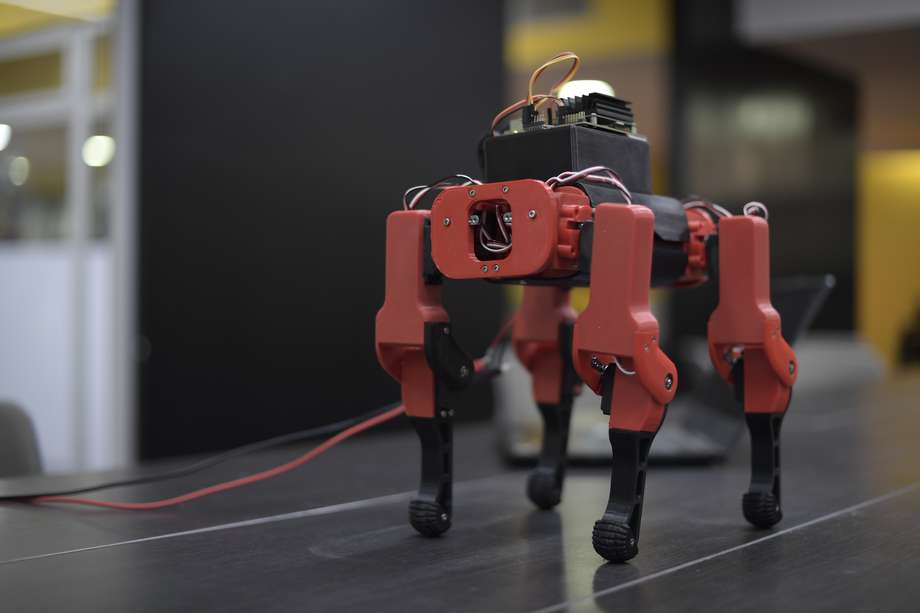Aunque el prototipo del robot aún está en construcción, en unas pocas semanas podrá realizar las actividades de un perro guía.
