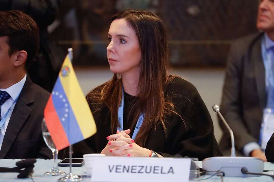 La embajadora de Juan Guaidó en Argentina, Elisa Trotta, participa durante la cuarta reunión técnica Internacional sobre Movilidad Humana de ciudadanos venezolanos en la región. / EFE