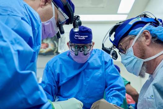 Este es el quinto trasplante de cerdo a humano del Langone Transplant Institute de la NYU.