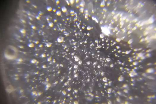 Imagen microscópica de microplásticos.