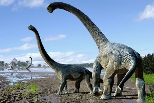 Recreación del Savannasaurus elliottorum.  /  Travis Tischler - AAOD