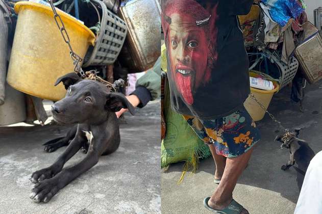 Critican a fundación animalista que rescató a perro de un habitante de calle, ¿qué pasó?