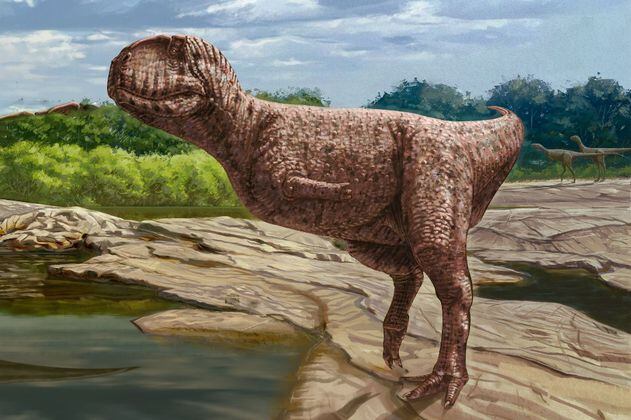 Encuentran fósil de hace 98 millones de años de un dinosaurio con cara de bulldog