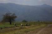 Lo que se sabe del homicidio de dos trabajadores de un ingenio azucarero en Cauca