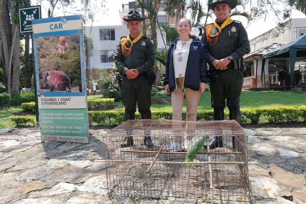 Autoridades intensifican acciones contra el tráfico de fauna en Semana Santa