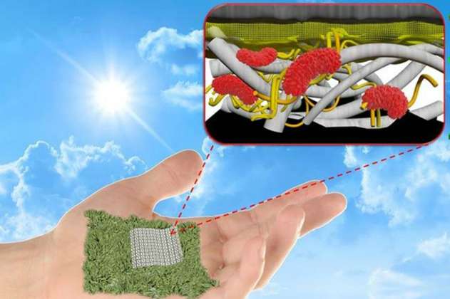 Conozca la batería de papel biodegradable