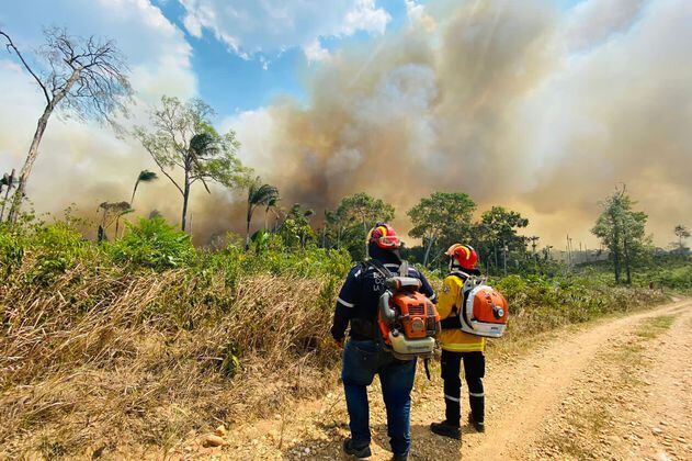 Fotos: La Macarena en llamas. Alerta por numerosos incendios que acaban el bosque
