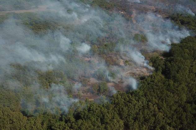 Arde nuevamente el área protegida Vía Parque Isla de Salamanca