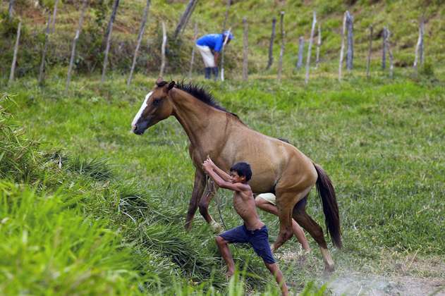En Brasil, estos campesinos pueden tomar tu tierra si no la usas