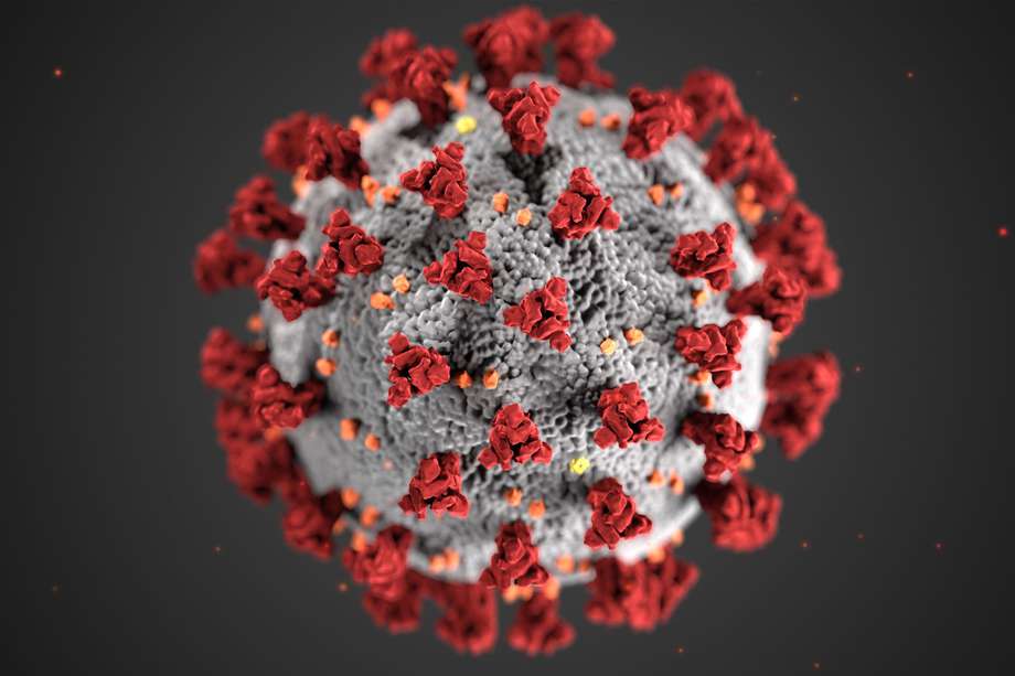 Representación del virus SARS-Cov-2 a nivel molecular. 