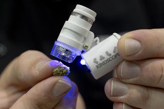 En Los Ángeles, una muestra de dispositivos para el análisis de la marihuana medicinal.  / AFP