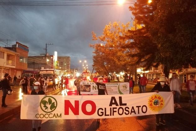 Los reclamos de los cocaleros, otra cara del paro nacional en el Cauca