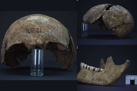 Estos son los restos que fueron encontrados en Letonia y que se estudiaron para determinar la primera víctima mortal de la peste.