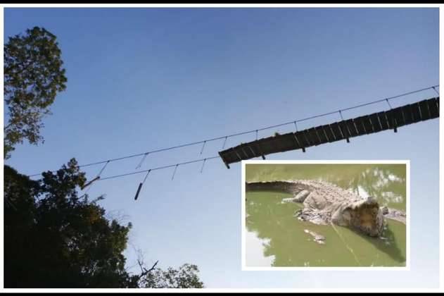 ¿Qué ha pasado con los niños que atravesaban un río lleno de caimanes para ir al colegio?