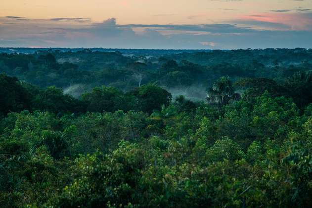 La Amazonia colombiana fue la cuarta con más deforestación durante 2021