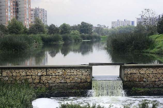 El humedal el Burro perdió el 89% de su ecosistema por la urbanización de Bogotá