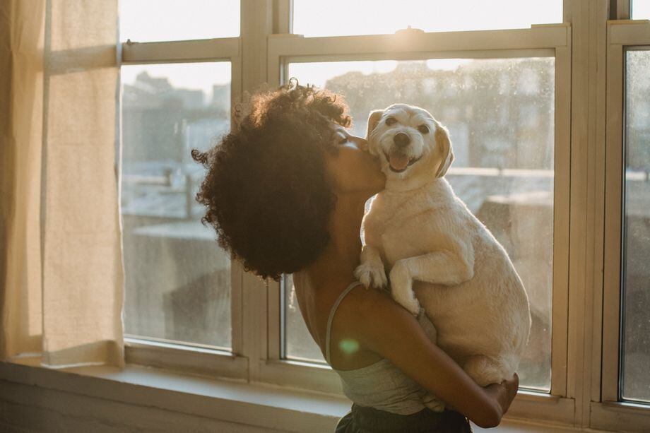 Abrazar a un perro reduce el dolor, confirma estudio.