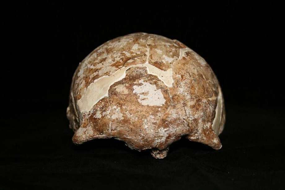 Fotografía proporcionada por el Instituto Mengzi de Reliquias Culturales que muestra el cráneo de Mengzi Ren (MZR) en Mengzi, en la provincia de Yunnan, suroeste de China.