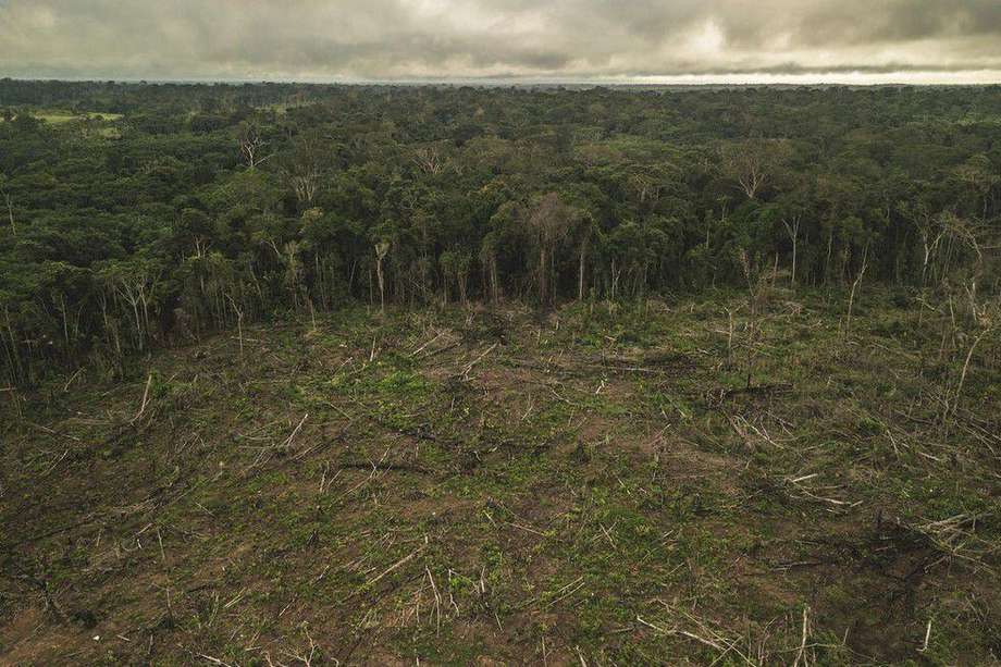 Según cifras del IDEAM, el 70% de la deforestación en el país se concentra en la Amazonia.