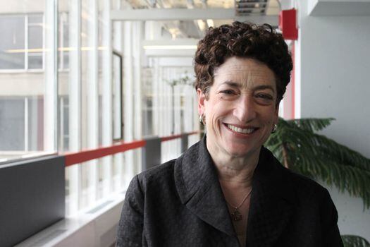 Naomi Oreskes, geóloga y profesora de Historia de la Ciencia de Harvard.  / EFE - Caty Arévalo