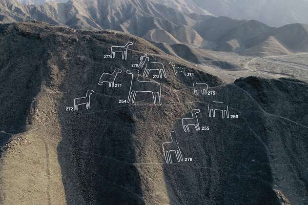 Encuentran 168 nuevas figuras cerca de las Líneas de Nazca