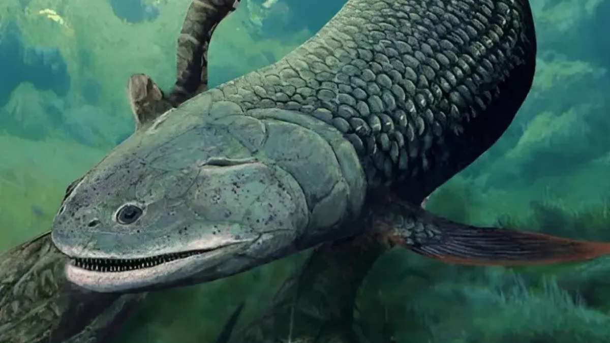 Questo strano pesce di 380 milioni di anni fa respira aria