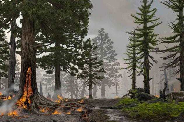¿Cuál fue el rol de los incendios forestales en la mayor extinción en la Tierra?