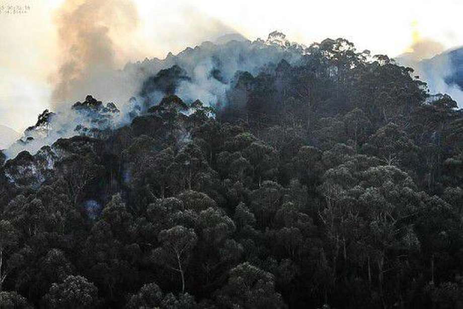 A raíz de la cantidad de humo derivada del incendio en los cerros orientales, autoridades recomiendan uso de tapabocas.