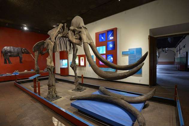 La CIA financia programa para traer de vuelta a especies extintas como mamuts