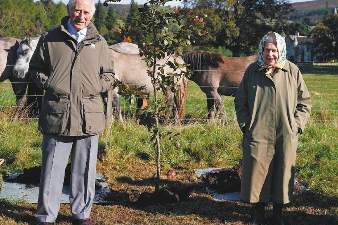 Isabel II y el príncipe Carlos sembraron un árbol para marcar el inicio de la temporada de plantación del Queen’s Green Canopy (QGC). / AFP