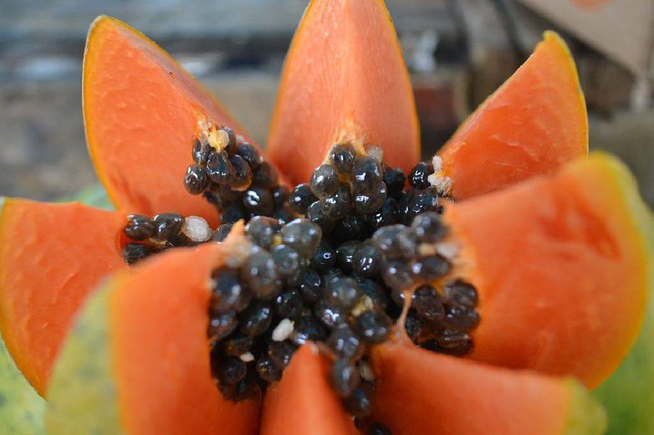 Comer papaya incluye beneficios para la piel, los ojos, los órganos internos y el cabello. Te contamos más.