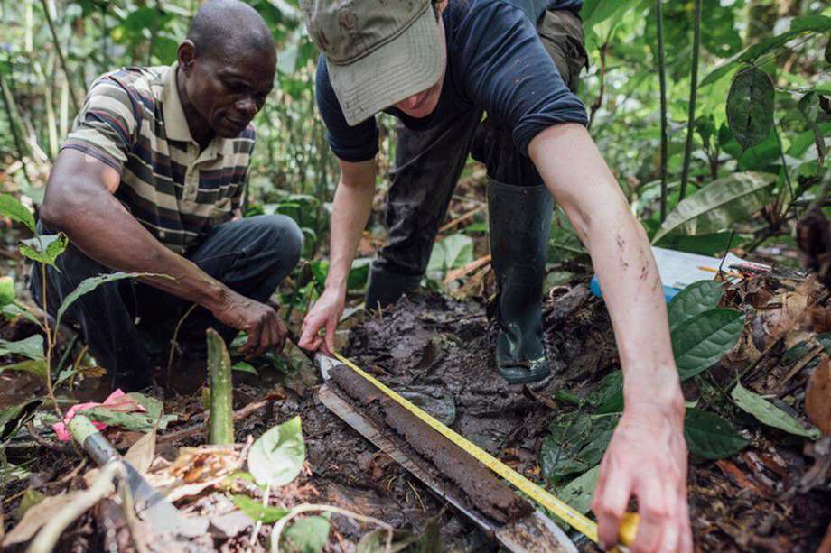 Las turberas del Congo son el mayor complejo de turberas tropicales del mundo. En total cuentan con 16,7 millones de hectáreas.