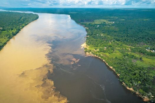 Vista aérea de la Estrella Fluvial del Inírida, uno de los ecosistemas más excepcionales de Colombia. / Fotos: Simon De Man / WWF-Colombia