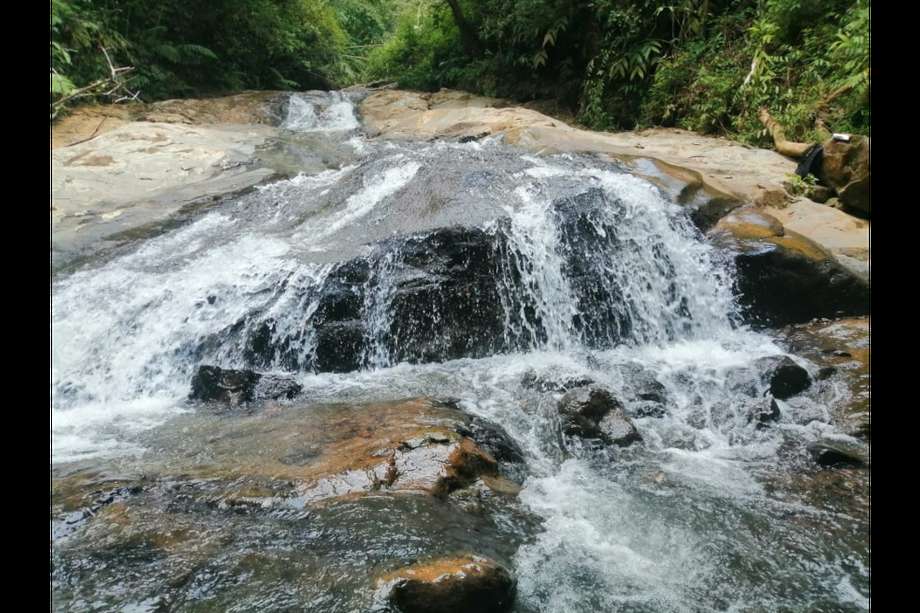 El corregimiento de San Vicente, zona rural de Jamundí, es uno de los que más cuencas hídricas tiene en el departamento. A través de la ruta de "La Estrella del Agua", la alcaldía de Jamundí dio a conocer este destino turístico.