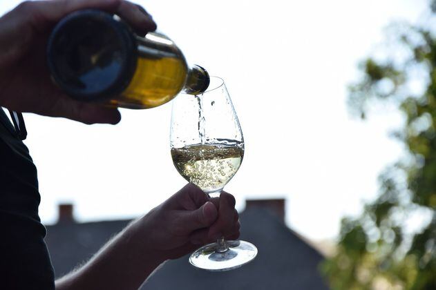 5 planes con vino perfectos para compartir con amigos y familia