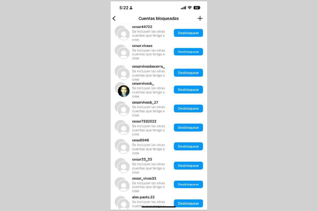 Listado de perfiles que creó Cesar Vivas en Instagram para acosar a Lina Rezk.