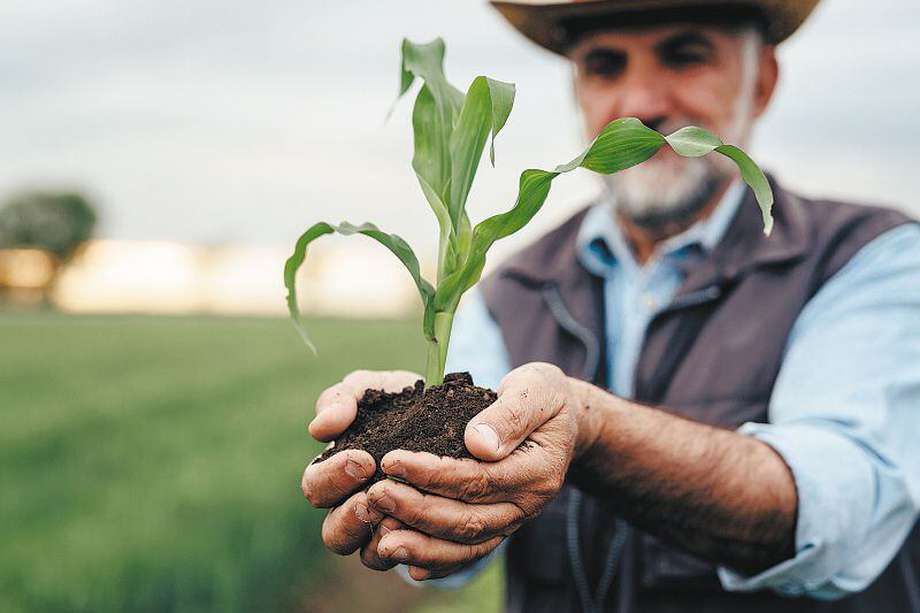  El gobierno de Gustavo Petro ha propuesto una gran transformación en el agro, la cual está encaminada a la seguridad alimentaria. / iStock