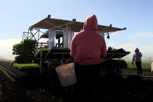 Acoso sexual: una realidad para las trabajadoras migrantes agrícolas en California