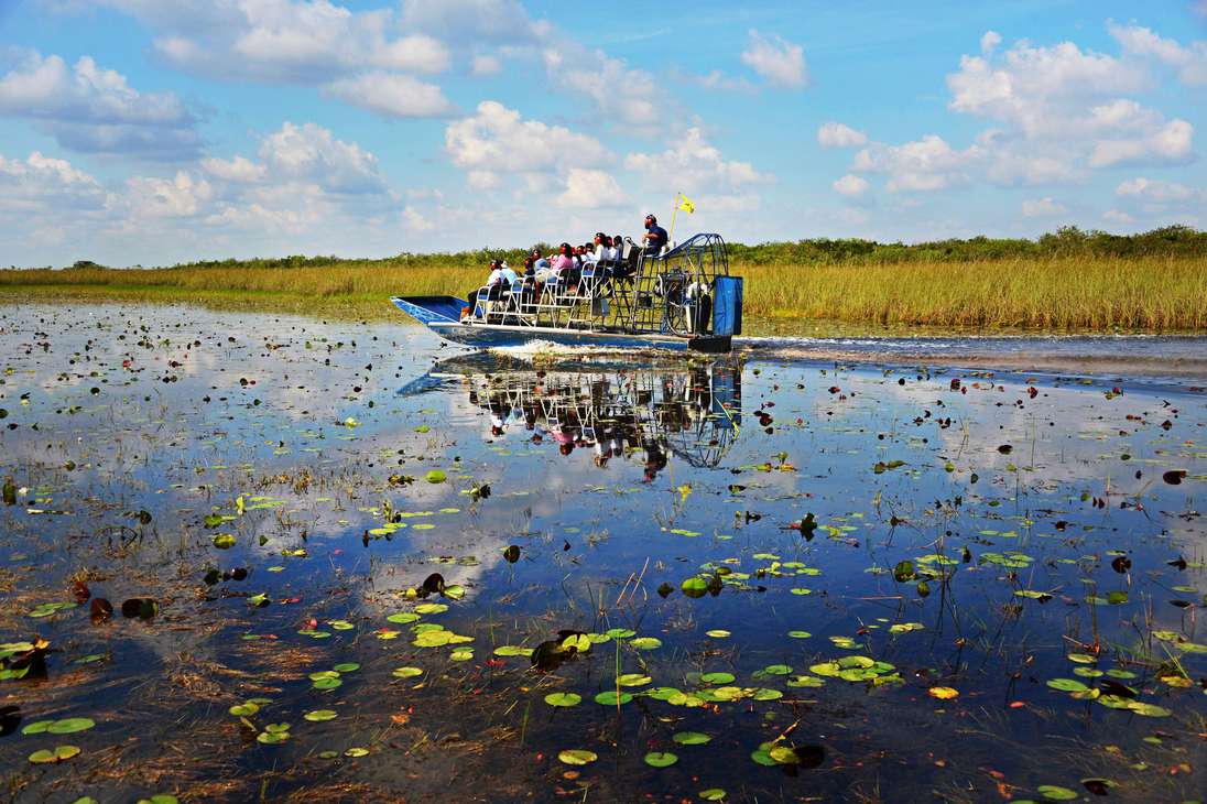 Everglades: una aventura a bordo de un hidrodeslizador
