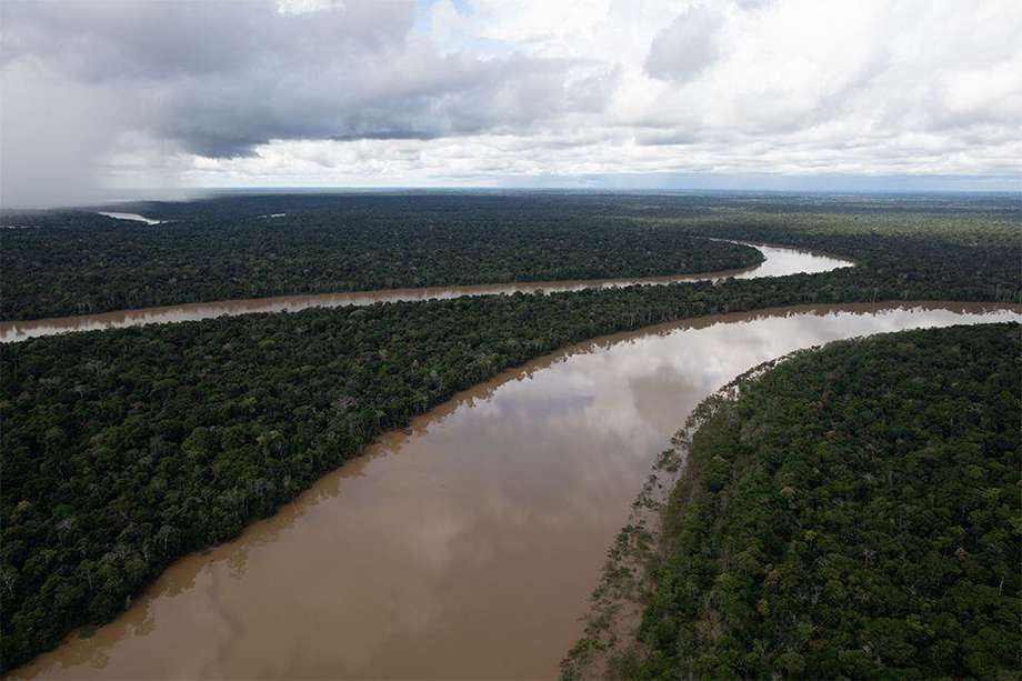 La Amazonía de Brasil. 